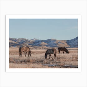 Horses Grazing Art Print