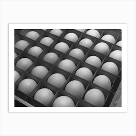 Sonoma Count, California, Eggs By Russell Lee Art Print