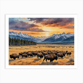 Bison Herd Grasslands 1 Art Print