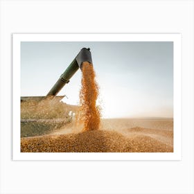 Corn Harvest Season Art Print