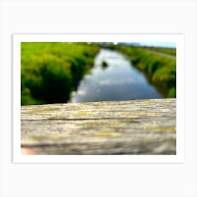 River In The Grass Art Print