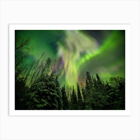 Aurora Borealis In Sky Over Forest Art Print