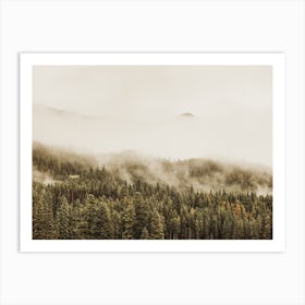 Fog Covered Forest Art Print