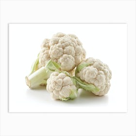 Cauliflower On White Background 2 Art Print