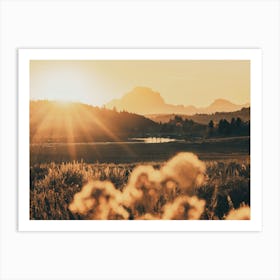 Grand Teton Mountain Wildflower Sunset Art Print