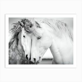 Two Horses In Love 1 Art Print