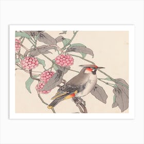 Chinese Bird Art Print