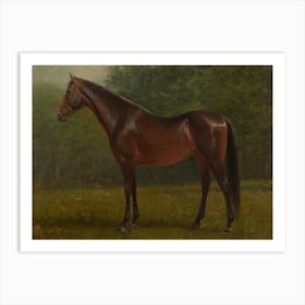 Thoroughbred, Albert Bierstadt Art Print