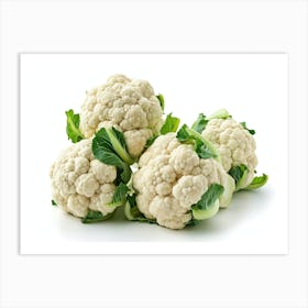 Cauliflower 8 Art Print