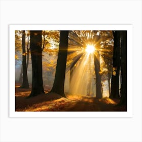 Forest With Sunbeams 06 Art Print