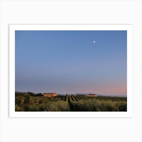 Sunset Skies In Tuscan Vineyards Art Print
