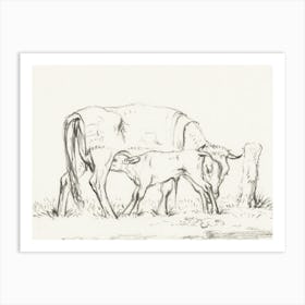 Calf Drinking With His Mother, Jean Bernard Art Print