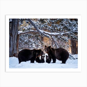 Bear Family Huddling Against An Ancient Snow Dusted Pine Tree Soft Flakes Falling In The Backgroun (1) Art Print