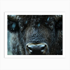 Stare down Art Print