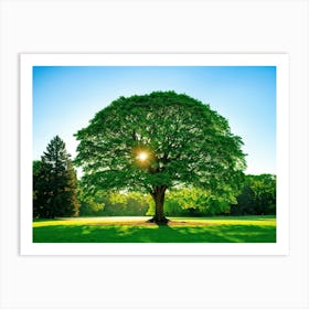 A Radiant Tree Standing Tall In A Vibrant Park Holding A Secure Place Amongst A Lush Spring Foliage (6) Art Print