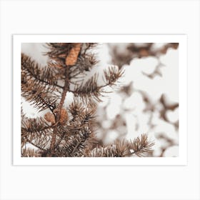 Snowy Winter Branch Art Print