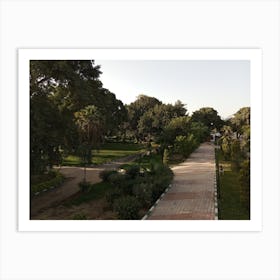 Park In Egypt Art Print