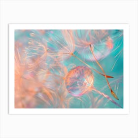 Dandelion 17 Art Print