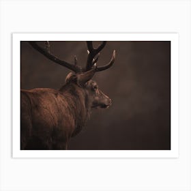 Rustic Elk Profile Art Print