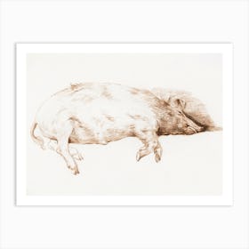 Lying Pig 2, Jean Bernard Art Print