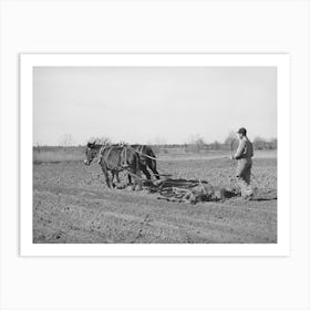 Son Of Pomp Hall, Tenant Farmer, Harrowing, Creek County, Oklahoma, See General Caption Number 23 By Art Print