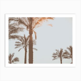 The Palmtrees In The Summer Sun Spain Travel Art Print