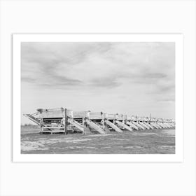 Battery Of Pea Shellers Near Mercedes, Texas By Russell Lee Art Print