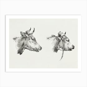 Two Bull Heads, Jean Bernard Art Print