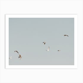 Beach Seagulls Art Print