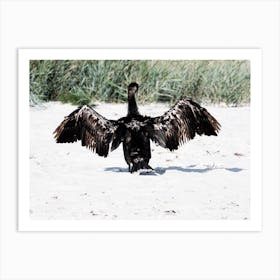 Drying Bird sand beach photo Art Print