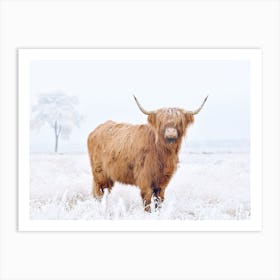 Highland Cow In Winter Art Print