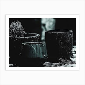 Pots And Cactus Art Print