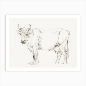 Standing Cow, Jean Bernard Art Print