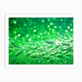 Dragonflies In Grass Art Print