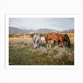 Montana Horse Herd Art Print