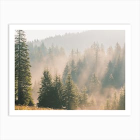 Warm Forest View Art Print