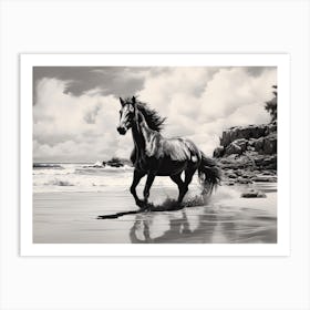 A Horse Oil Painting In Hyams Beach, Australia, Landscape 1 Art Print