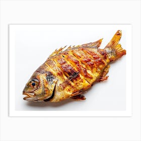 Grilled Fish 2 Art Print