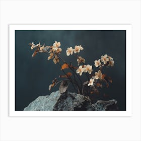 Flowers On A Rock Art Print