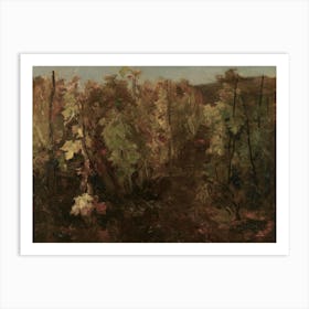 Autumn In The Woods Art Print