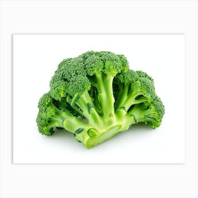 Broccoli On White Background 1 Art Print