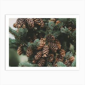 Pine Cone Filled Tree Art Print