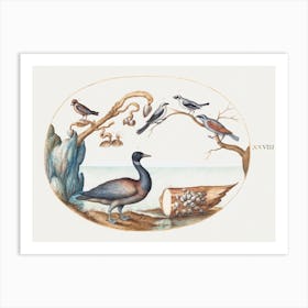 Barnacle Goose With Shrikes And Other Birds (1575–1580), Joris Hoefnagel Art Print