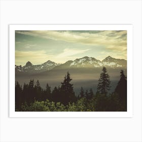 Cascade Mountain Wildflower Sunrise Art Print