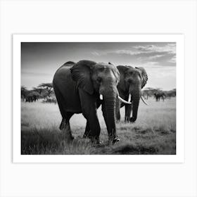 Black And White Elephants Art Print