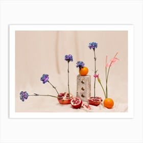 Fruits And Flowers Composition Art Print