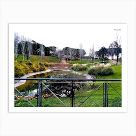 Park And Pond Art Print