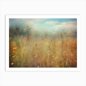 Field Of Wildflowers Art Print