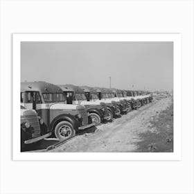 Line Up Of Buses Used To Transport Workmen To The Construction Work At The Naval Air Training Base, Corpus Christi, Art Print