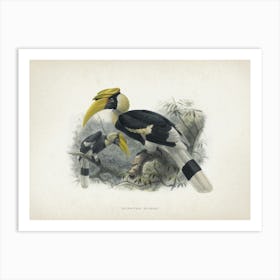 Vintage Keulemans 2 Dichoceros Bicornis Art Print